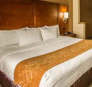 Quality Suites NYC Gateway hotel detail image 7