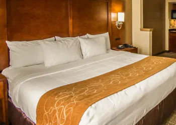 Quality Suites NYC Gateway hotel thumbnail 7