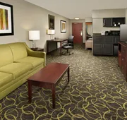 Holiday Inn Express & Suites DFW - Grapevine by IHG hotel detail image 4