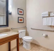 Comfort Suites McKinney - Allen hotel detail image 4