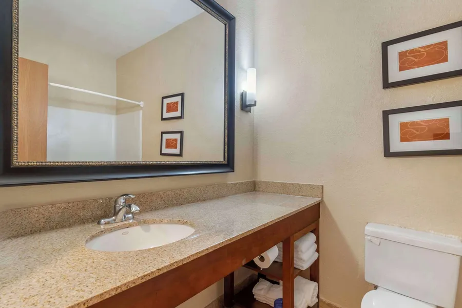 Comfort Suites McKinney - Allen hotel detail image 6
