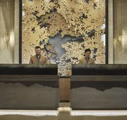 Four Seasons Hotel Austin hotel detail image 3