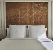 Four Seasons Hotel Austin hotel detail image 7