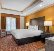 Best Western Aspen Hotel hotel detail image 4