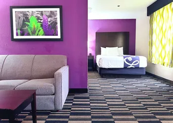 La Quinta Inn & Suites by Wyndham Orlando Universal area hotel thumbnail 6