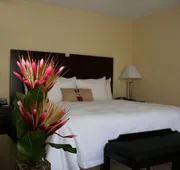 Hampton Inn & Suites Orlando-John Young Pkwy/S. Park hotel detail image 4