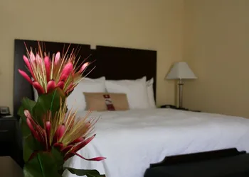 Hampton Inn & Suites Orlando-John Young Pkwy/S. Park hotel thumbnail 4