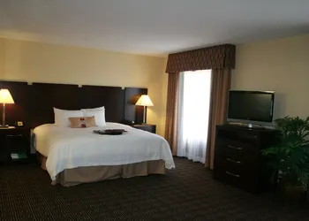 Hampton Inn & Suites Orlando-John Young Pkwy/S. Park hotel thumbnail 5