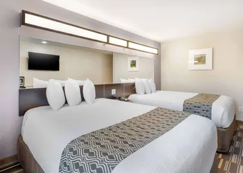 Microtel Inn & Suites by Wyndham Brooksville hotel thumbnail 8