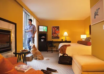 OPUS Hotel Vancouver hotel thumbnail 7