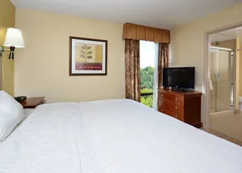 Hampton Inn Raleigh-Capital Blvd. North hotel thumbnail 7