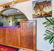 Econo Lodge Inn & Suites Near Lackland AFB hotel detail image 3