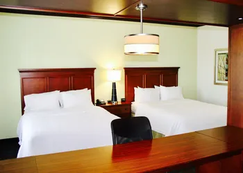 Hampton Inn & Suites San Antonio/Northeast I-35 hotel thumbnail 6