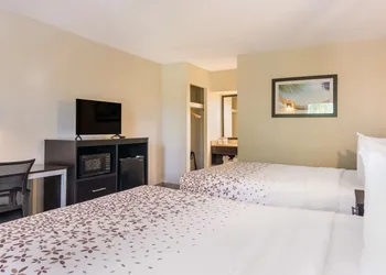 SureStay Hotel by Best Western St. Pete Clearwater Airport hotel thumbnail 7