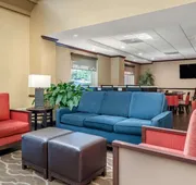 Comfort Inn & Suites Suwanee - Sugarloaf hotel detail image 3
