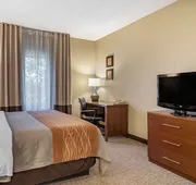 Comfort Inn & Suites Suwanee - Sugarloaf hotel detail image 7