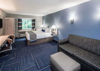 Microtel Inn & Suites by Wyndham Greenville / Woodruff Rd hotel thumbnail 4