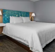 Hampton Inn Gretna - Smith Mountain Lake hotel detail image 5