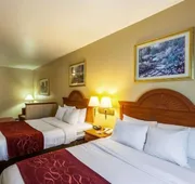 SureStay Plus Hotel by Best Western Mesquite hotel detail image 4