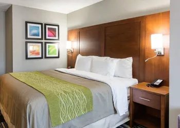 Quality Inn & Suites Ashland near Kings Dominion hotel thumbnail 8