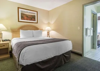 Flamingo Hotel hotel thumbnail 6
