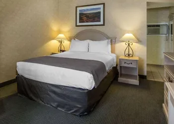 Flamingo Hotel hotel thumbnail 7