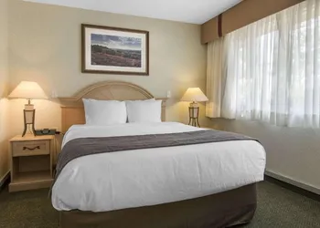 Flamingo Hotel hotel thumbnail 8