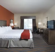 Holiday Inn Express Hotel & Suites Morgan City Tiger Island by IHG hotel detail image 3