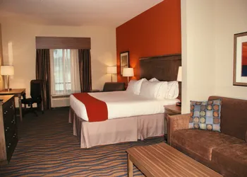 Holiday Inn Express Hotel & Suites Morgan City Tiger Island by IHG hotel thumbnail 5