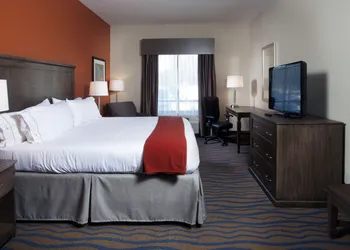 Holiday Inn Express Hotel & Suites Morgan City Tiger Island by IHG hotel thumbnail 8