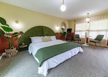 The Springs Motel hotel thumbnail 6