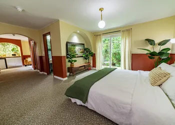 The Springs Motel hotel thumbnail 7