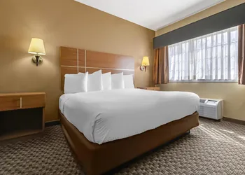 Best Western Plus Shamrock Inn & Suites hotel thumbnail 5