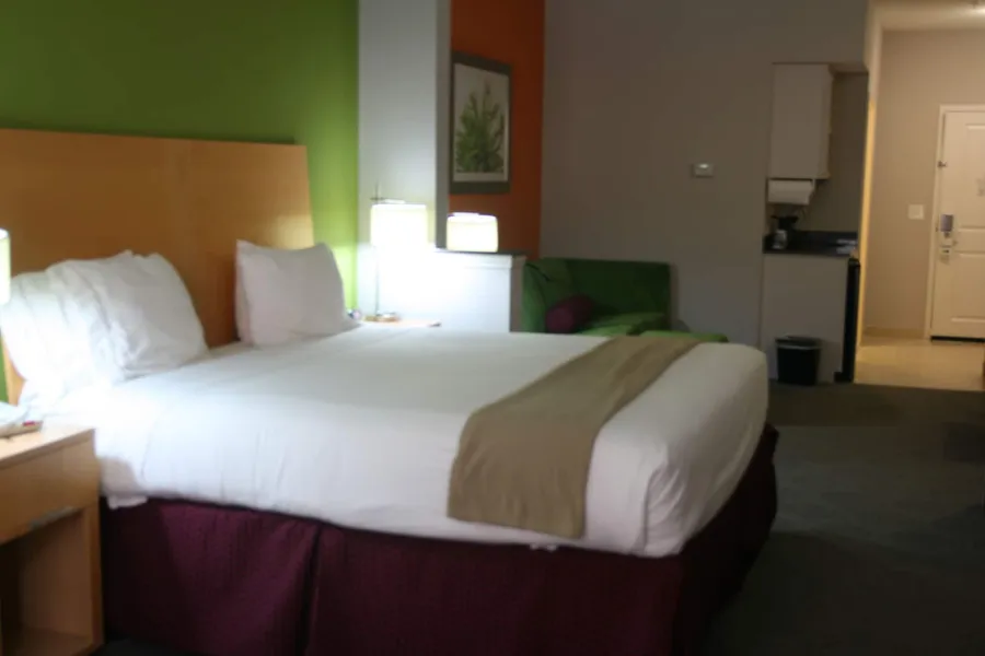 Holiday Inn Express Hotel & Suites Clute - Lake Jackson by IHG hotel detail image 2