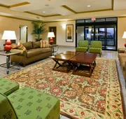 Holiday Inn Express Hotel & Suites Pell City by IHG hotel detail image 3