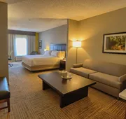 Holiday Inn Express Hotel & Suites Pell City by IHG hotel detail image 5