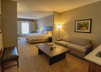 Holiday Inn Express Hotel & Suites Pell City by IHG hotel thumbnail 5