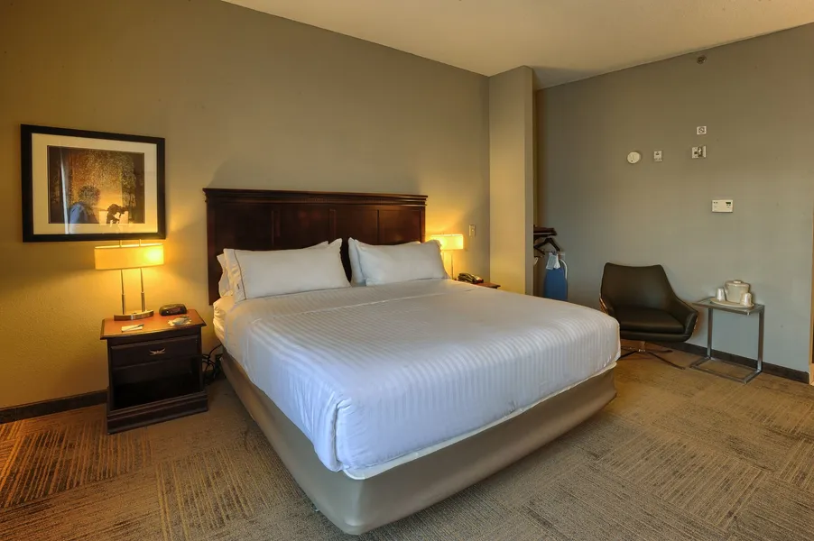 Holiday Inn Express Hotel & Suites Pell City by IHG hotel detail image 6