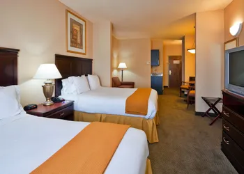 Holiday Inn Express Hotel & Suites Pell City by IHG hotel thumbnail 8
