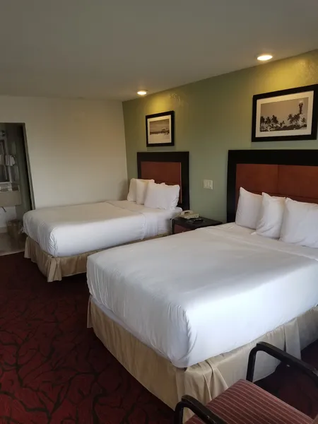 Budget Inn hotel detail image 6