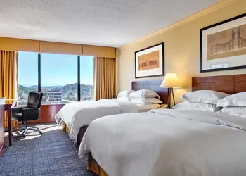 Hilton Knoxville hotel thumbnail 8