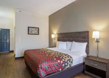 Econo Lodge Inn & Suites Marianna South hotel thumbnail 7