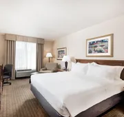 Holiday Inn Johnstown-Gloversville by IHG hotel detail image 4