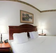 Holiday Inn Express Hotel & Suites Laurinburg by IHG hotel detail image 7