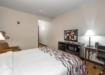 Red Roof Inn Hartselle hotel thumbnail 4
