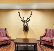 Best Western Plus Clearfield hotel detail image 5