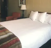 Vegreville Garden Inn hotel detail image 5