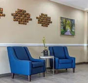 Comfort Inn & Suites Orangeburg hotel detail image 3