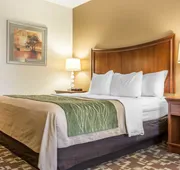 Comfort Inn & Suites Orangeburg hotel detail image 4
