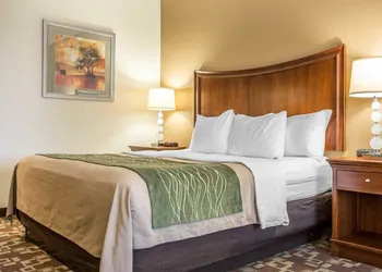 Comfort Inn & Suites Orangeburg hotel thumbnail 4